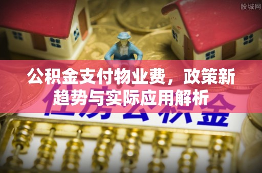 阜宁公积金支付物业费，政策新趋势与实际应用解析