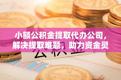 阜宁小额公积金提取代办公司，解决提取难题，助力资金灵活使用