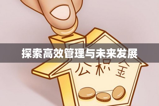 阜宁探索高效管理与未来发展