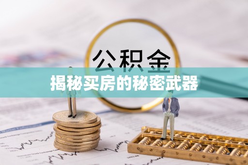 阜宁揭秘买房的秘密武器