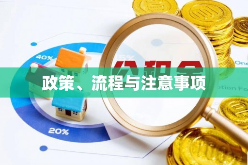 阜宁政策、流程与注意事项