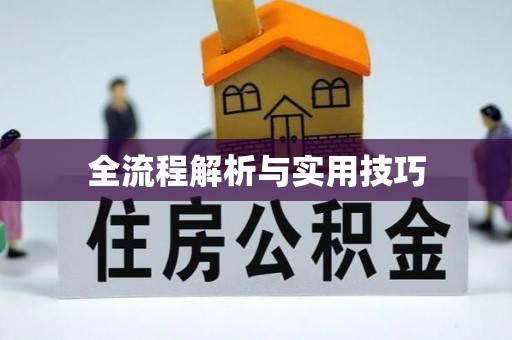 阜宁全流程解析与实用技巧