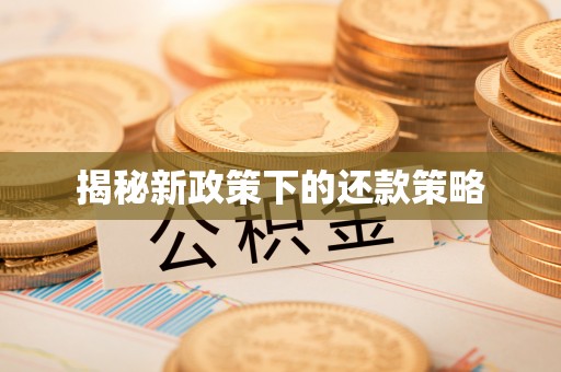 阜宁揭秘新政策下的还款策略