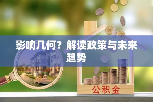 阜宁影响几何？解读政策与未来趋势