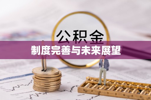 阜宁制度完善与未来展望