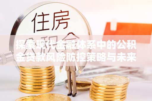 阜宁探索现代金融体系中的公积金贷款风险防控策略与未来发展趋势