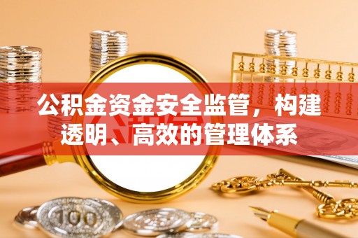 阜宁公积金资金安全监管，构建透明、高效的管理体系