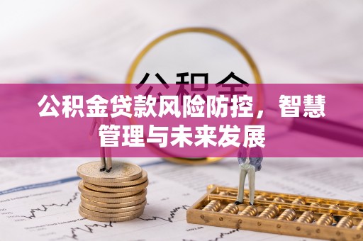 阜宁公积金贷款风险防控，智慧管理与未来发展