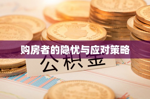 阜宁购房者的隐忧与应对策略