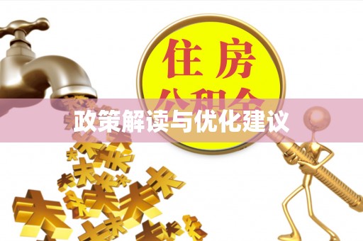 阜宁政策解读与优化建议
