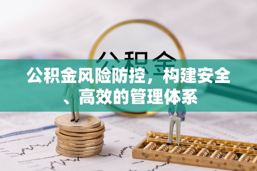 阜宁公积金风险防控，构建安全、高效的管理体系