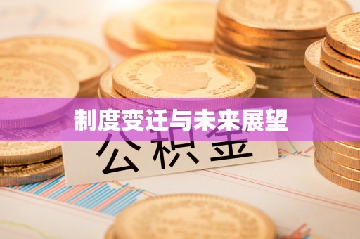 阜宁制度变迁与未来展望