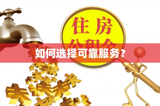 阜宁如何选择可靠服务？