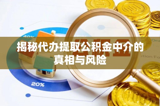 阜宁揭秘代办提取公积金中介的真相与风险