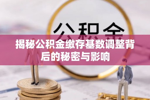 阜宁揭秘公积金缴存基数调整背后的秘密与影响