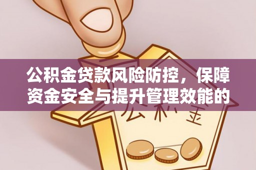 阜宁公积金贷款风险防控，保障资金安全与提升管理效能的多维度探索