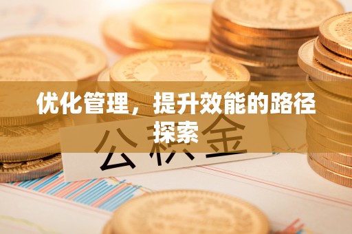 阜宁优化管理，提升效能的路径探索