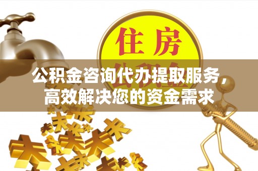 阜宁公积金咨询代办提取服务，高效解决您的资金需求