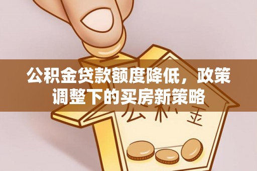 阜宁公积金贷款额度降低，政策调整下的买房新策略