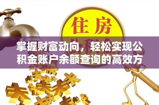 阜宁掌握财富动向，轻松实现公积金账户余额查询的高效方式