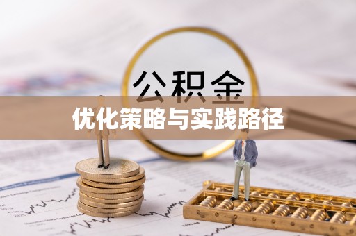 阜宁优化策略与实践路径