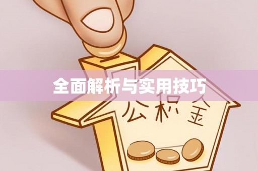 阜宁全面解析与实用技巧