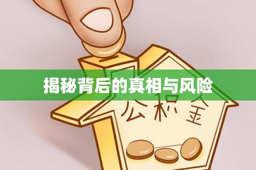 阜宁揭秘背后的真相与风险