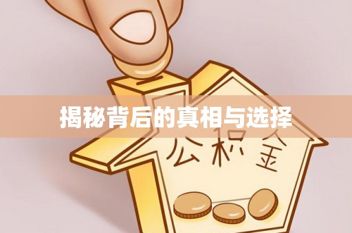 阜宁揭秘背后的真相与选择