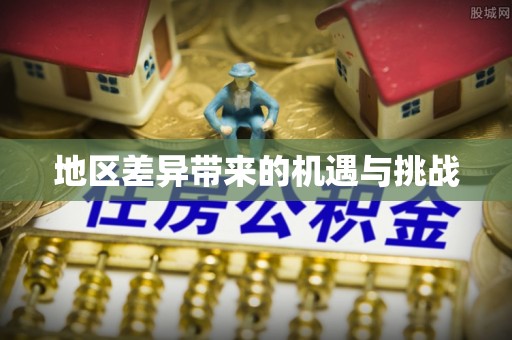 阜宁地区差异带来的机遇与挑战