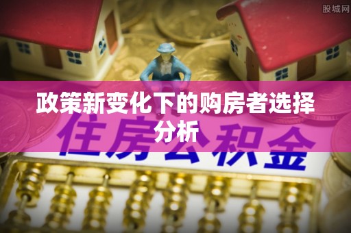 阜宁政策新变化下的购房者选择分析