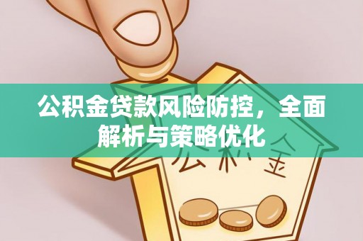 阜宁公积金贷款风险防控，全面解析与策略优化