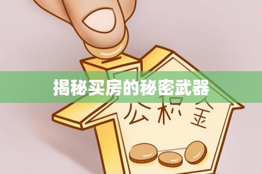 阜宁揭秘买房的秘密武器