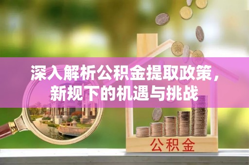阜宁深入解析公积金提取政策，新规下的机遇与挑战