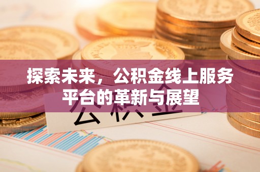 阜宁探索未来，公积金线上服务平台的革新与展望