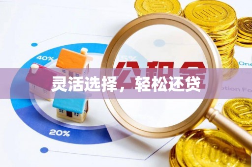 阜宁灵活选择，轻松还贷