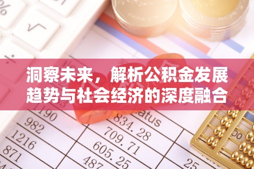 阜宁洞察未来，解析公积金发展趋势与社会经济的深度融合