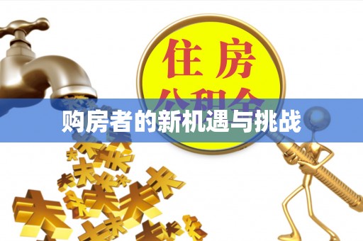 阜宁购房者的新机遇与挑战