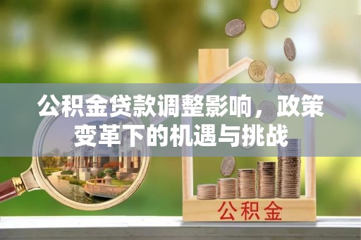 阜宁公积金贷款调整影响，政策变革下的机遇与挑战
