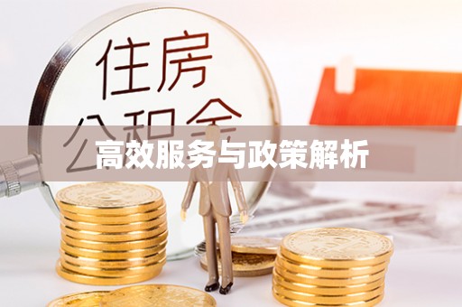 阜宁高效服务与政策解析