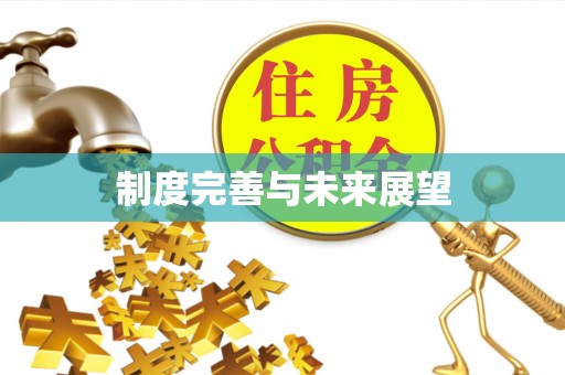 阜宁制度完善与未来展望