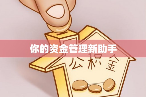 阜宁你的资金管理新助手