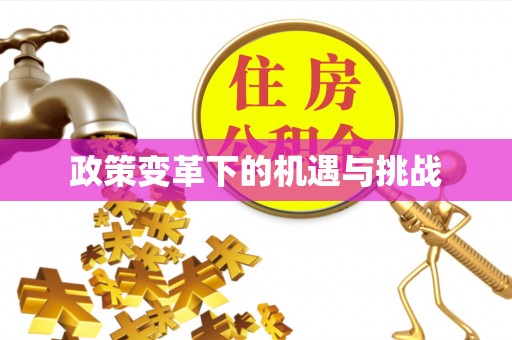 阜宁政策变革下的机遇与挑战