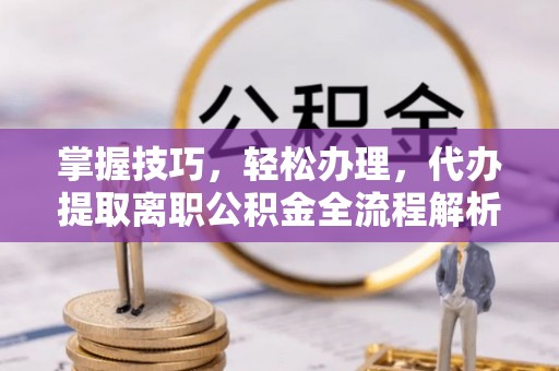 阜宁掌握技巧，轻松办理，代办提取离职公积金全流程解析