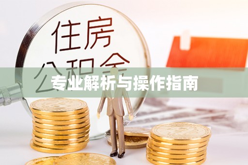 阜宁专业解析与操作指南