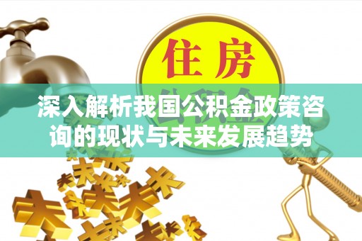 阜宁深入解析我国公积金政策咨询的现状与未来发展趋势