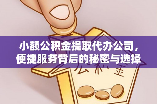 阜宁小额公积金提取代办公司，便捷服务背后的秘密与选择指南