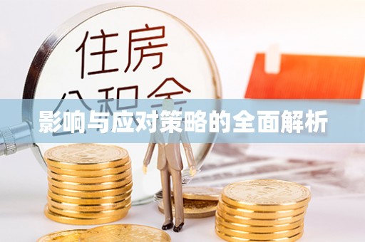 阜宁影响与应对策略的全面解析
