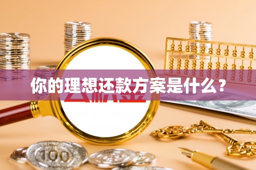 阜宁你的理想还款方案是什么？