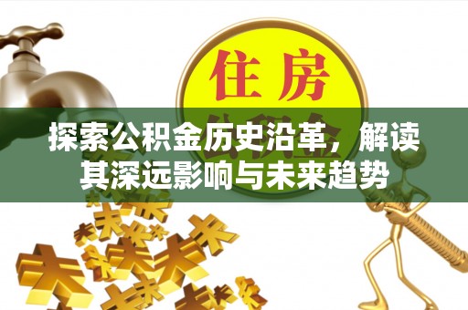 阜宁探索公积金历史沿革，解读其深远影响与未来趋势