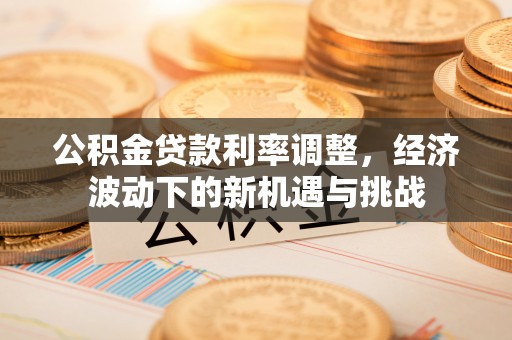 阜宁公积金贷款利率调整，经济波动下的新机遇与挑战